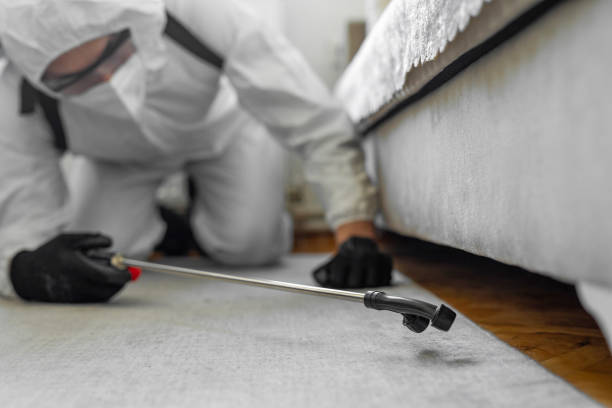 Professional Cockroach Control technician working in Cliffwood Beach, NJ